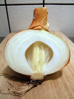 2012-10-12-onionsliced