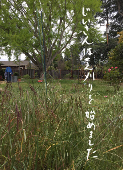2021-04-25-yard3