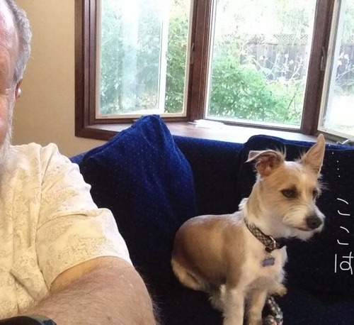 29CF2ACD-2D7E-4715-99BC-68C8F4D65D93