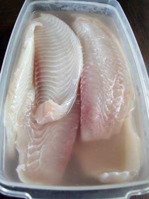 2014-06-22-tilapia