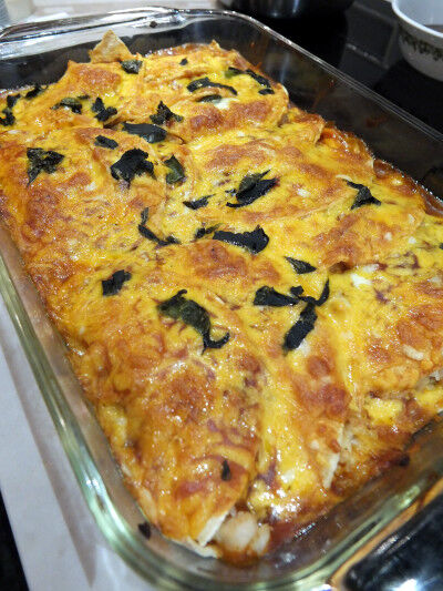 2025-03-26-enchilada1