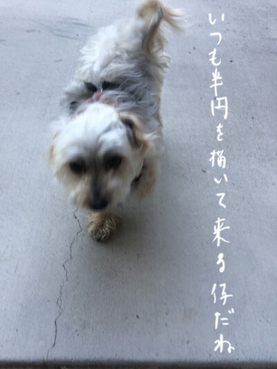 2021-06-13-rasta5