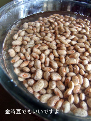 2013-06-11-pintobeans