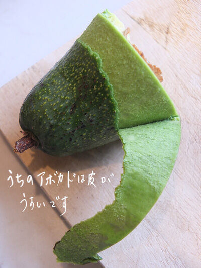 2021-03-08-avocado3