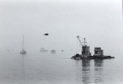2022-04-22-pismo1