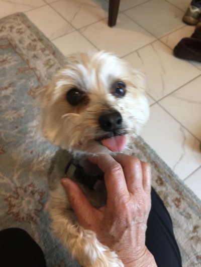 E35B2D02-4315-4972-9388-C0E5C3D0B88B