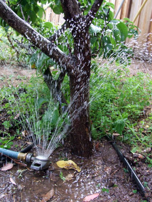 2013-05-09-sprinkler