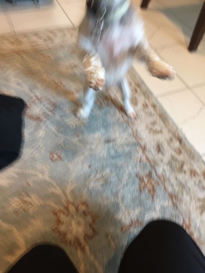 44D27C83-86DE-4C50-A201-04C4A10F562E