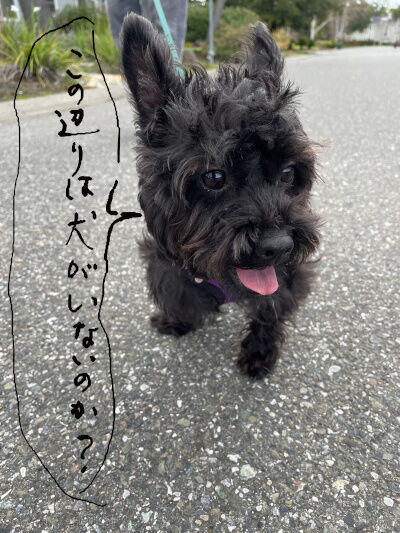 2025-03-20-kiki1
