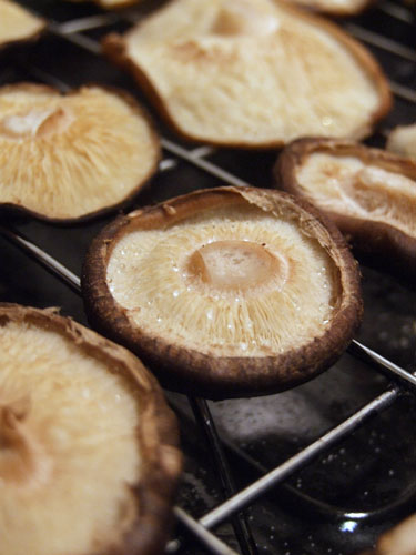 2012_03_23_shiitake2