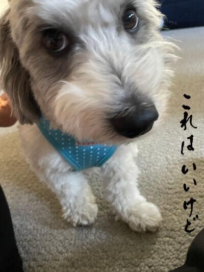 2025-06-24-charlie1