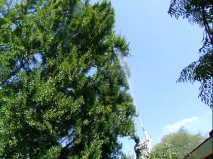 2014-07-19-water2