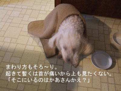 2013-01-05-chibiturning1