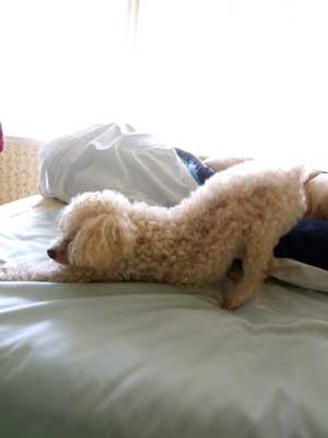 2014-03-14-strech3