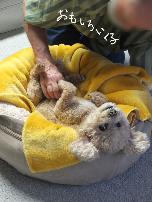 2019-06-19-an1