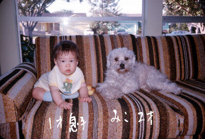2024-12-08-miko1