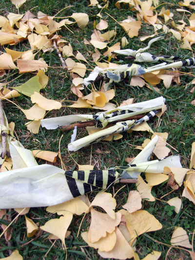 2016-11-07-poostick3