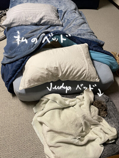 2022-11-06-judy2