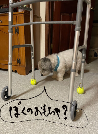 2025-08-02-walker5