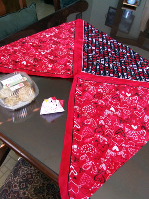 2013-11-16-bag