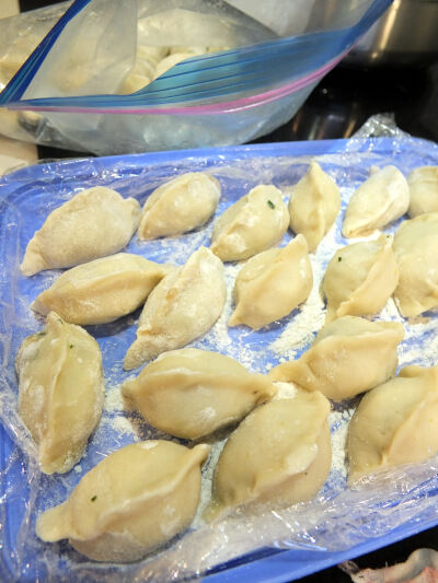 2026-03-13-gyoza1