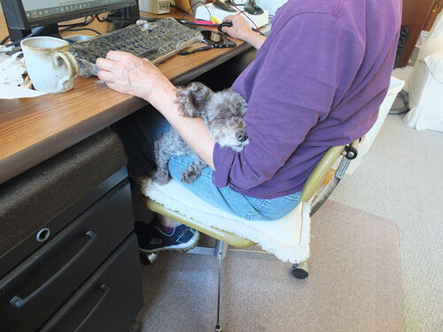 2023-03-07-judy1