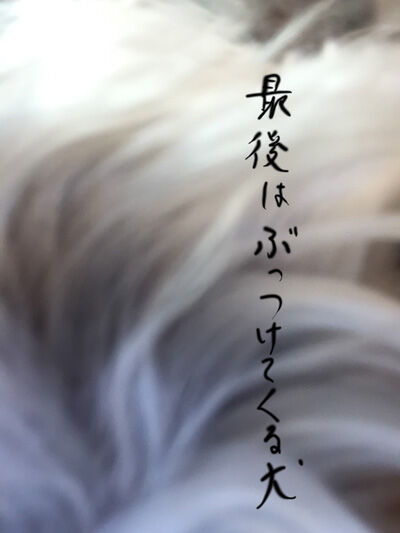 2021-04-06-rasta4