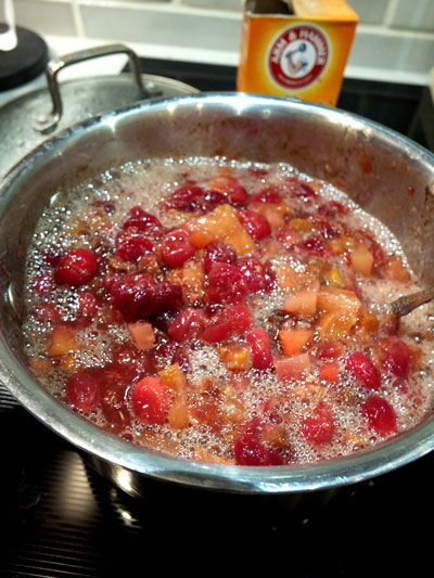 2018-11-20-cranberry6