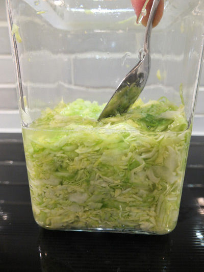 2019-03-14-saurkraut2