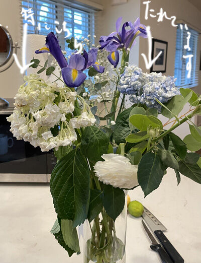 2024-04-26-flowers1