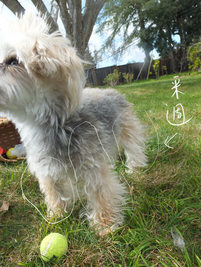 2021-03-08-rasta3