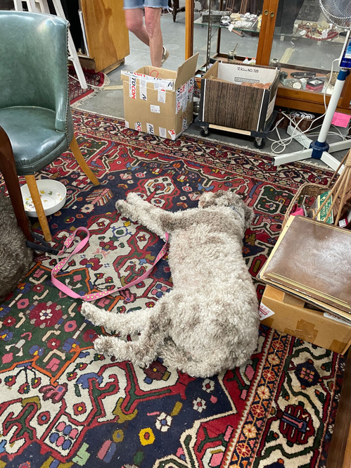 2026-08-14-antique6