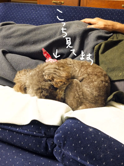2019-12-20-judy2