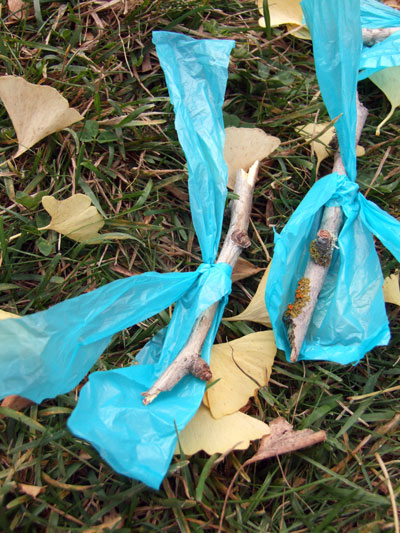 2016-11-07-poostick1