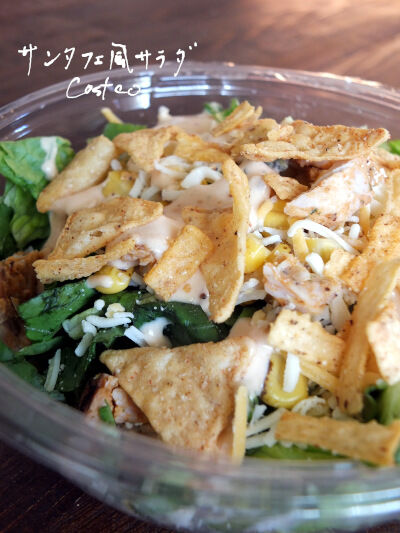 2024-12-05-costcosalad4