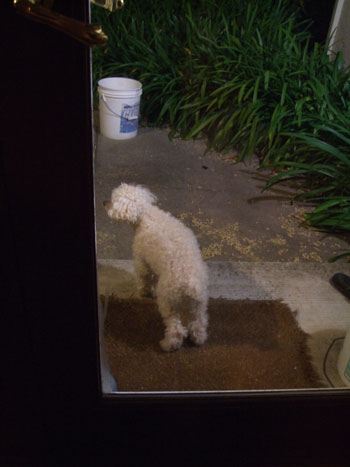 2012_06_21-steppedout2