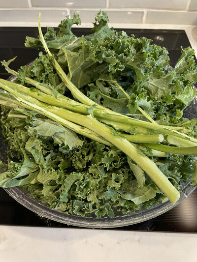 2023-12-17-kale4
