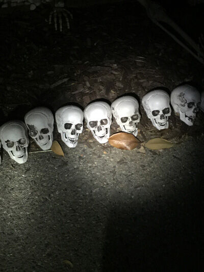 2020-10-14-haloween1