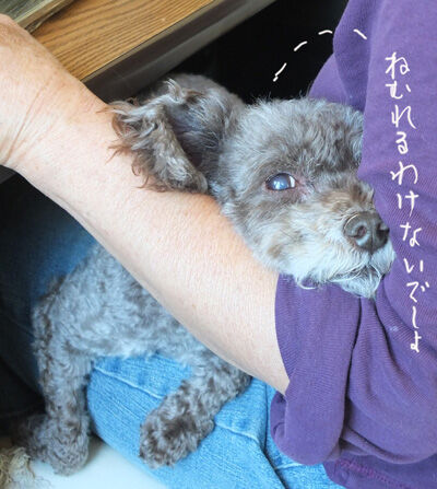 2020-07-23-judy2