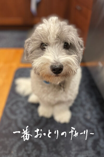 2024-10-13-charlie1