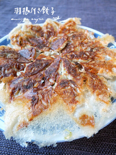 2023-10-30-gyoza3