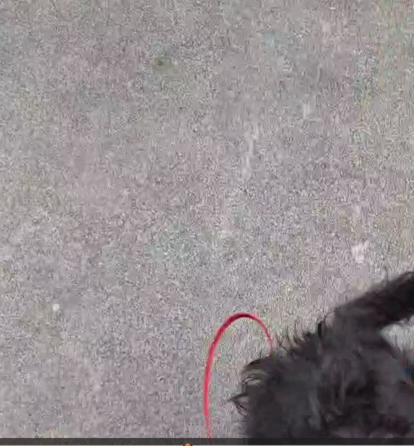 2025-03-19-kiki3