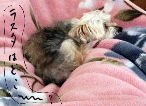 2021-04-16-rasta1