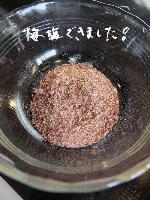 2025-12-27-umesalt3