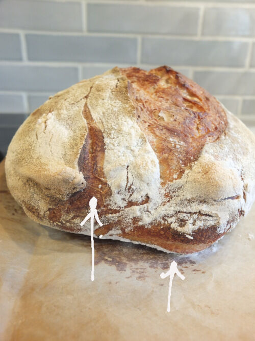 2025-09-08-bread5