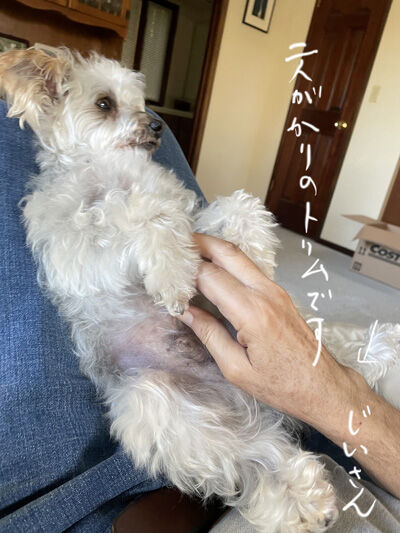 2021-11-29-rasta1