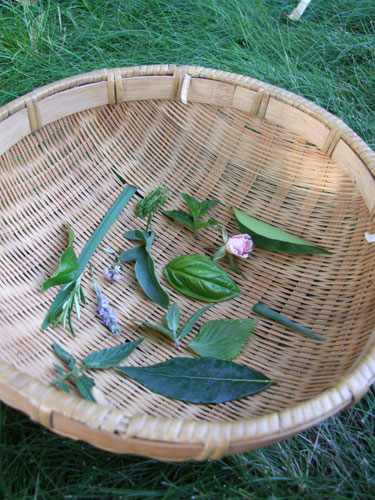 2010_07_19_basket