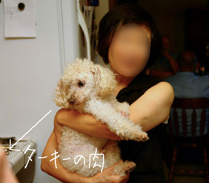 2013-07-05-chibi2