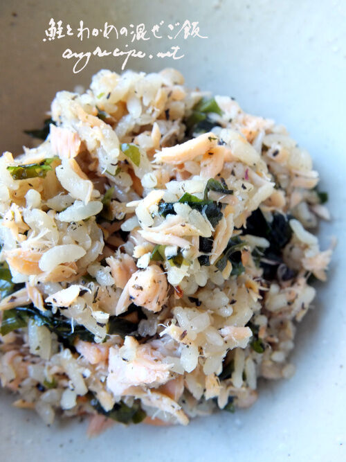 2025-10-12-salmonrice5