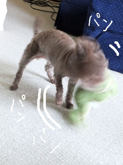 2020-01-14-judy3